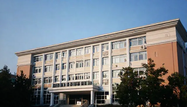 合川网站建设中两种SEO做法的取舍分析
