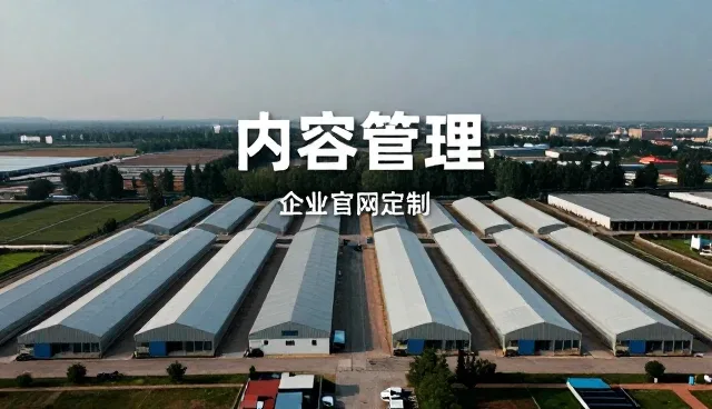 不同行业网站建设需求差异与技术适配分析