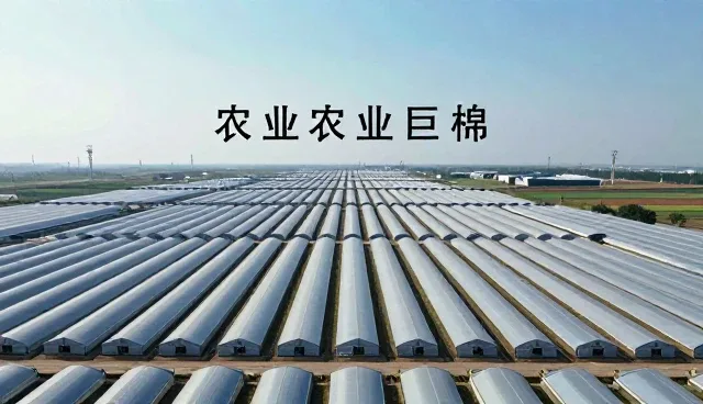 内容生产如何在智能化趋势中重塑文案创作模式