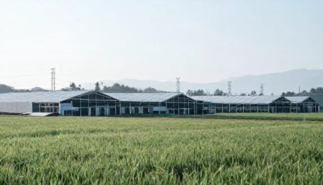 效果调优服务在实际应用中如何精准匹配业务需求