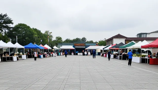 市场调研中应对策略的优化实践与操作建议