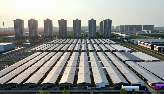 活动策划执行中业务需求的应对策略