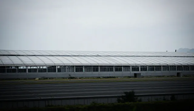 技术服务场景中稳定性检查的5大要点