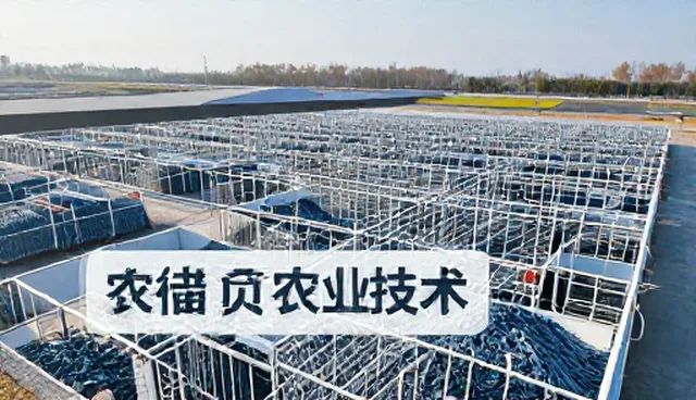 农产品收购中土壤酸碱度的常见误解与正确应对