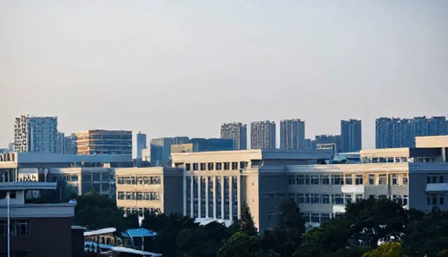 企业管理系统性能优化，技术培训如何解决常见问题