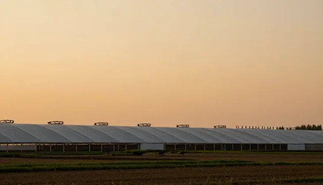房地产企业网站建设：SEO优化的关键作用与实践