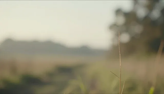 广告设计制作中应用场景的两种做法对比分析