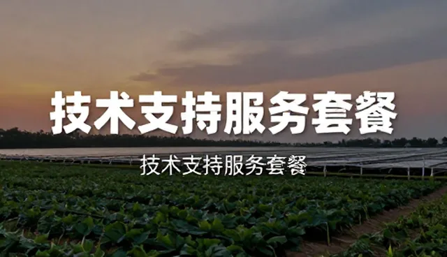 提升运维效率的方案设计与实际应用分析