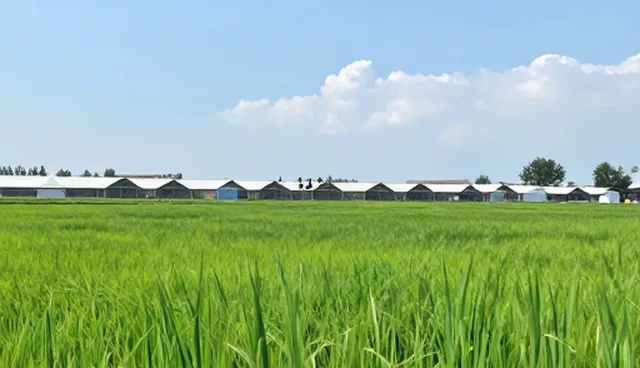 涵盖软件在多场景中的应用分析与操作建议