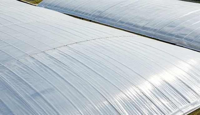 视频剪辑中画面模糊影响观看体验的原因分析