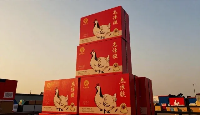 生态养殖中饲料配比与病害防控的实施要点