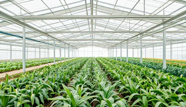 用户行为分析在SEO优化中的关键作用与建议