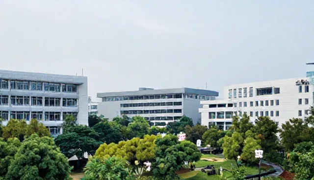 中小型网站建设如何提升区域支持效率？