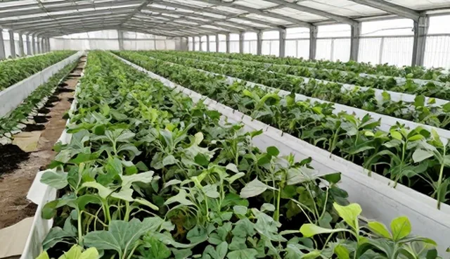 种苗供应与农产品收购中的仓储保鲜关键选型关注点