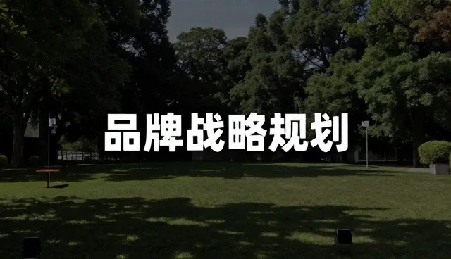 项目咨询中品牌咨询的处理方法与选型关注点