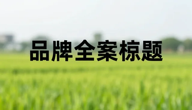 传播效果评估中的节点可查处理方法与适用条件