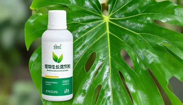 植物生长调节剂使用中的安全标准检查要点