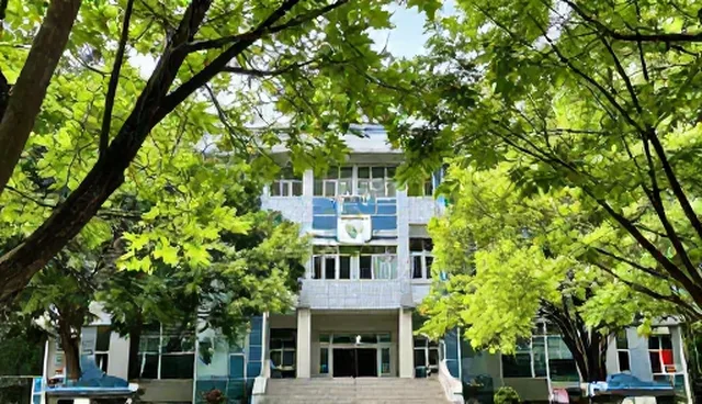 涵盖域名业务如何通过网络性能优化提升用户体验