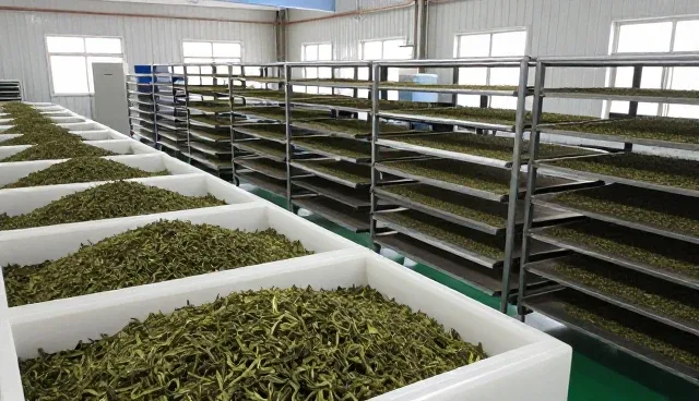 食品研发中化方案的性能与适用条件解析