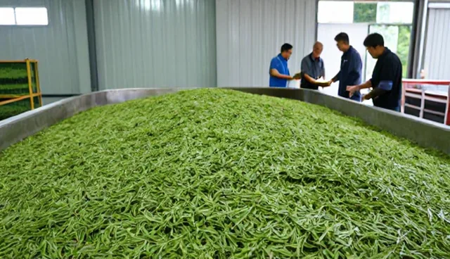 如何从种植技术指导中选择适合的物流配送服务