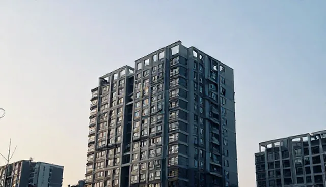 商务考察方案适用条件与选择依据说明