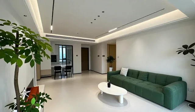 软件开发适用条件检查要点解析