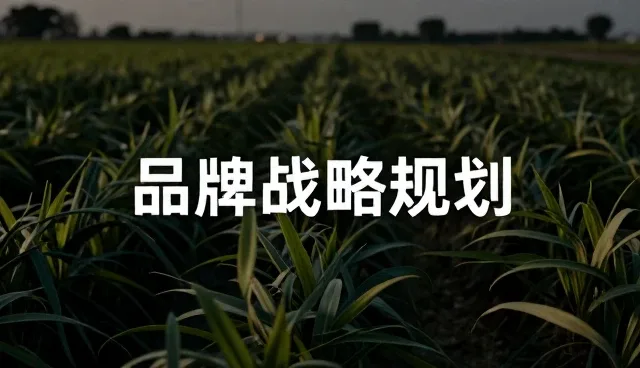 品牌咨询如何应对市场变化，提升竞争力