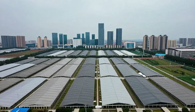 网站维护中常见问题与高效解决策略