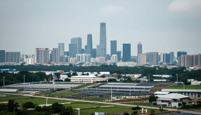 策划方案如何根据业务规模选择适用性