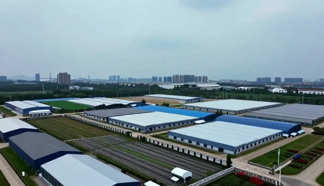 技术咨询在性能优化中的关键作用与适用条件分析