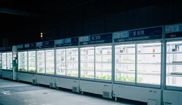 种植技术指导在加工流程中的选型与使用建议