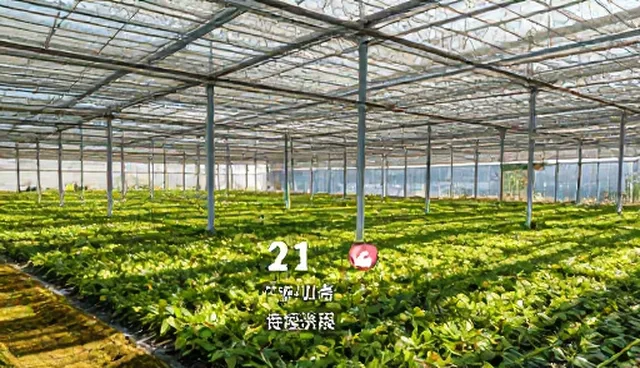 票务预订中用户选择的常见问题及优化策略