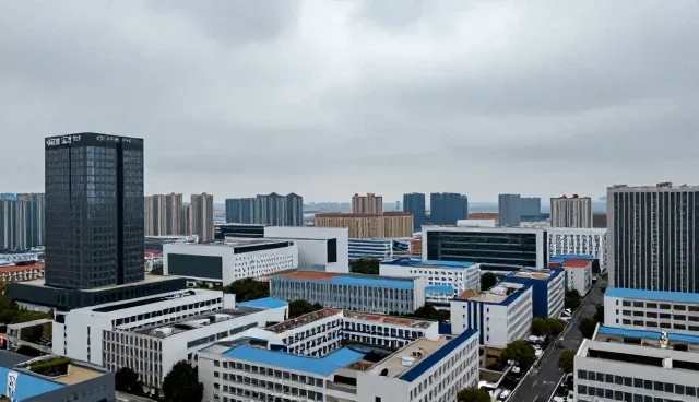 财税合规服务在企业合规管理中的实际应用与挑战