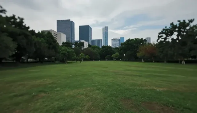 提升系统对接效率：团队协作中的关键操作指南