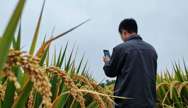 农业基地合作中地域适用条件的选择与影响