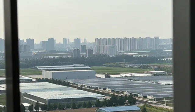 企业官网定制中的网络优化实践与维护建议