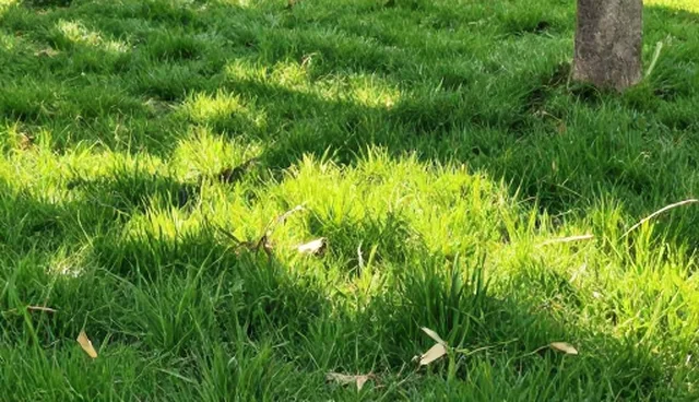 短视频拍摄如何从前期准备走向最终落地